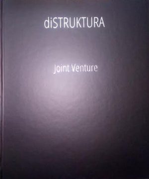 Joint Venture - Distruktura