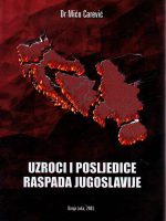 Mićo Carević - Uzroci i posljedice raspada Jugoslavije