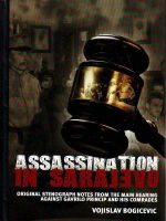 Vojislav Bogičević - Assassination in Sarajevo: original stenograph notes from the main hearing against Gavrilo Princip and his comrades