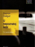 Dejmon Galgut - U nepoznatoj sobi. Tri putovanja