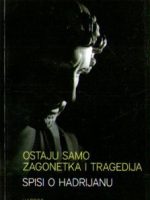 Ostaju samo zagonetka i tragedija: Spisi o Hadrijanu