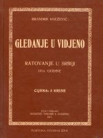 Branimir Knežević - Gledanje u viđeno