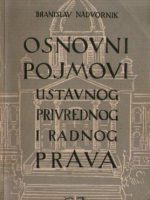 Branislav Nadvornik - Osnovni pojmovi ustavnog